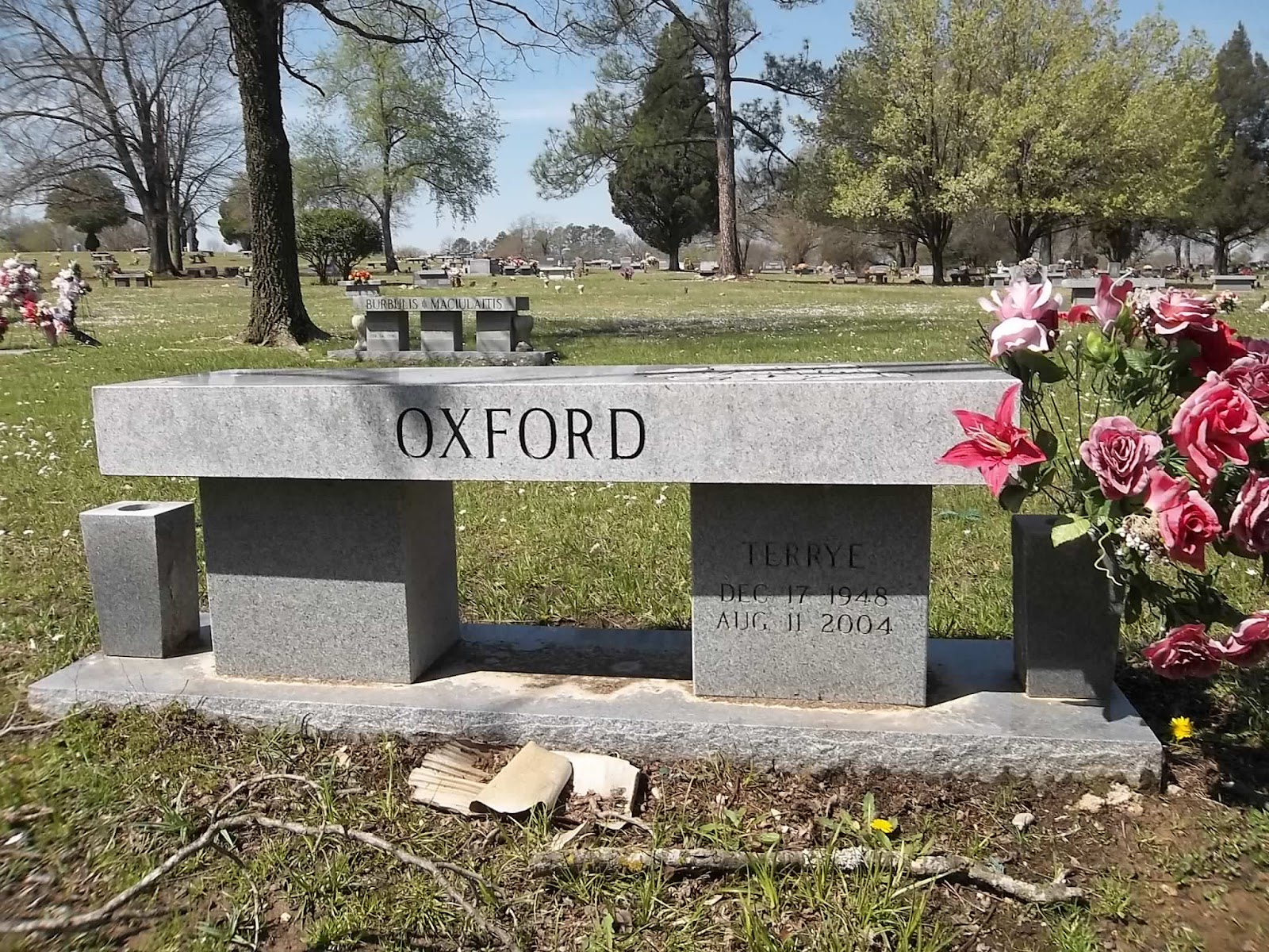 Holy Cross Cemetery cemetery grounds and headstones