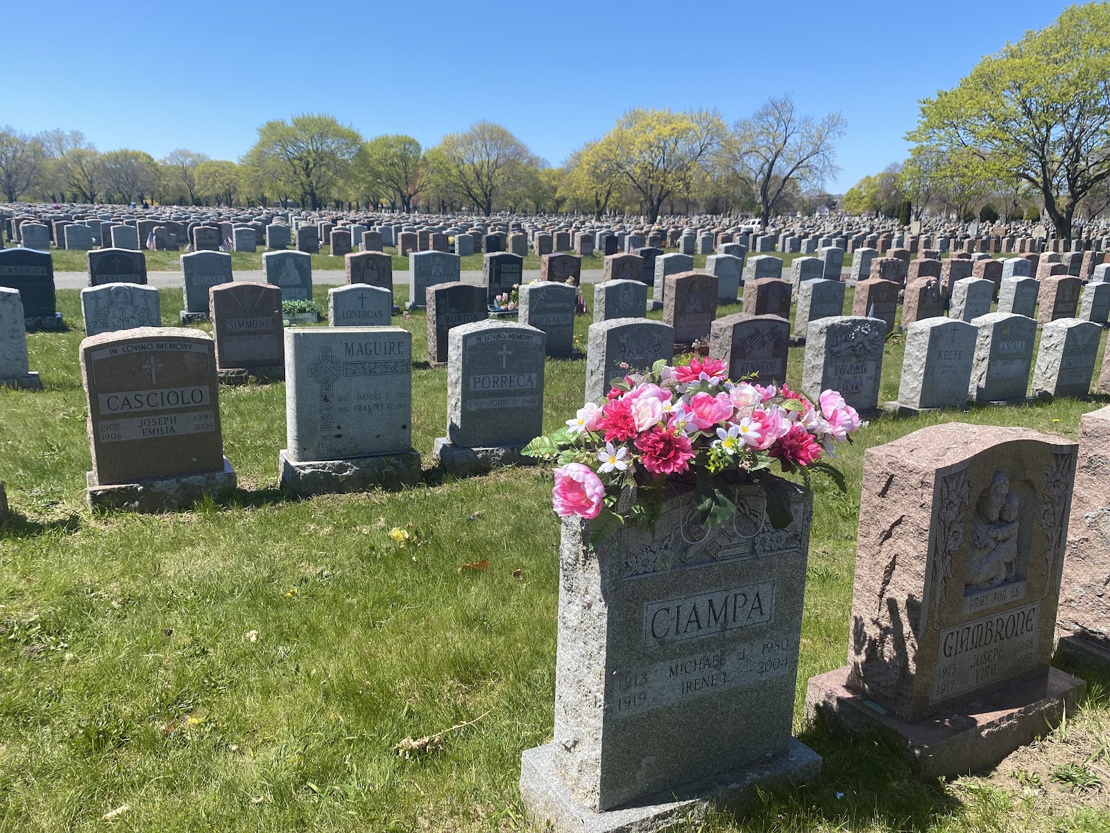 Holy Cross Cemetery