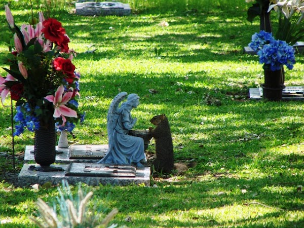 Holy Family Cemetery grounds