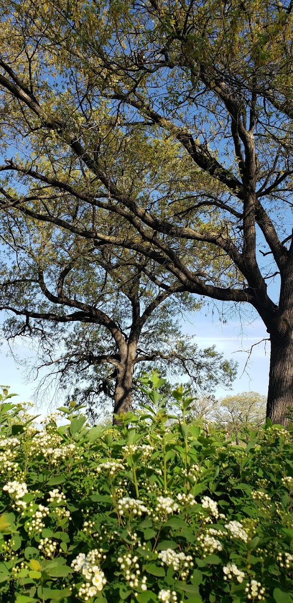 Homewood Memorial Gardens grounds
