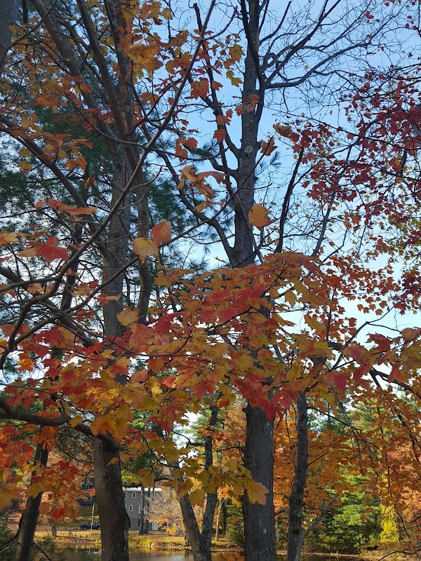 Howard Memorial Park grounds