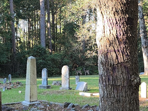 Huntsville Cemetery MCC grounds