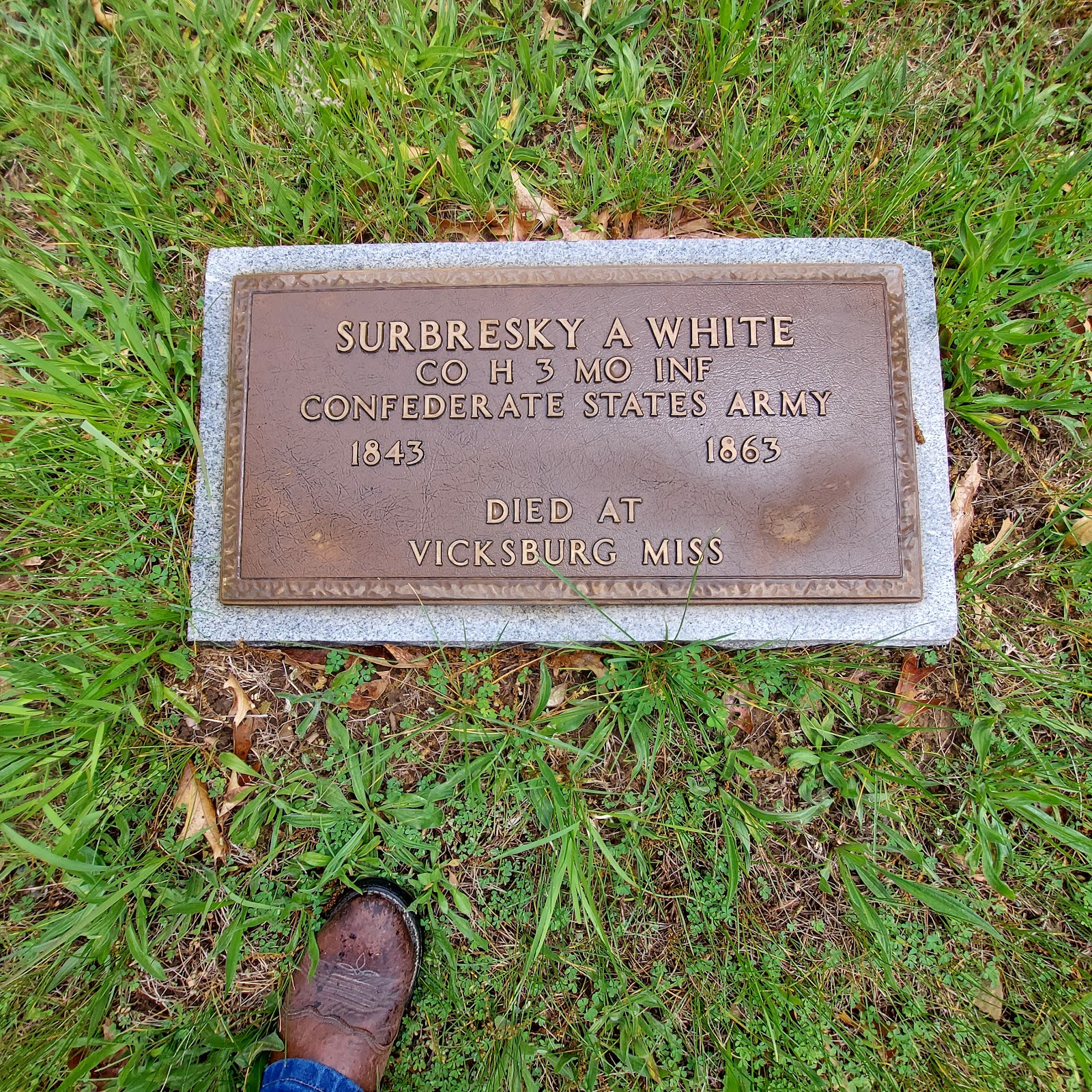 Hutchison Cemetery, Livingston 230, Chillicothe Missouri cemetery grounds and headstones