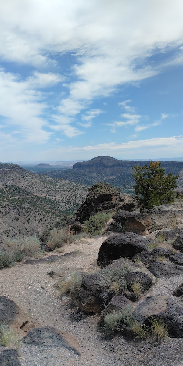 Hyde Memorial State Park RV Campground grounds