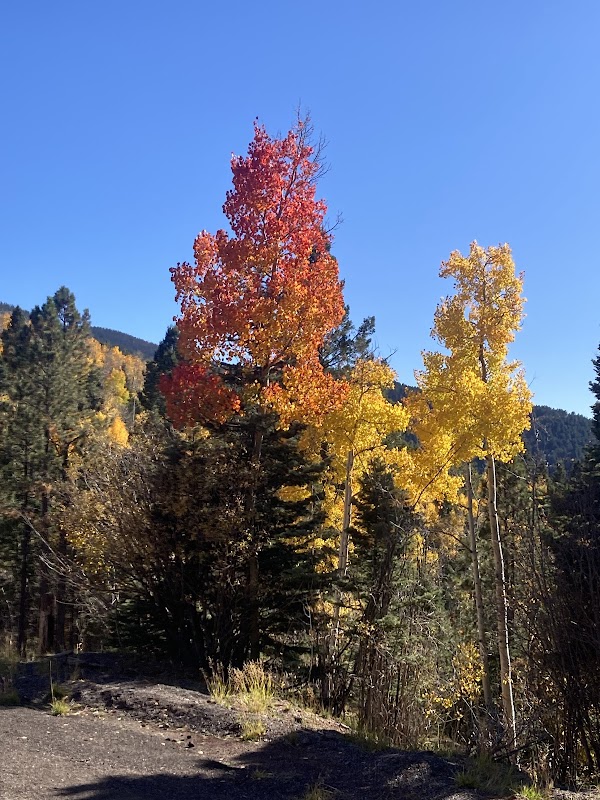 Hyde Memorial State Park RV Campground grounds