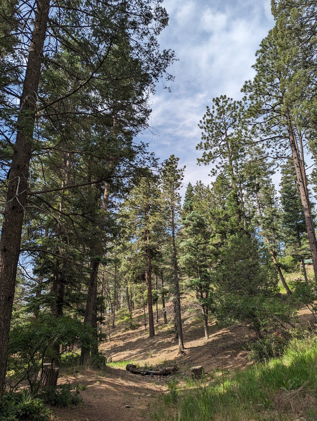 Hyde Memorial State Park RV Campground cemetery grounds and headstones