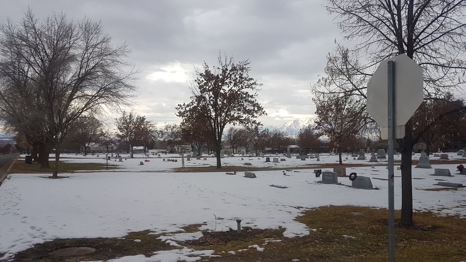 Hyde Park Cemetery headstone and grounds