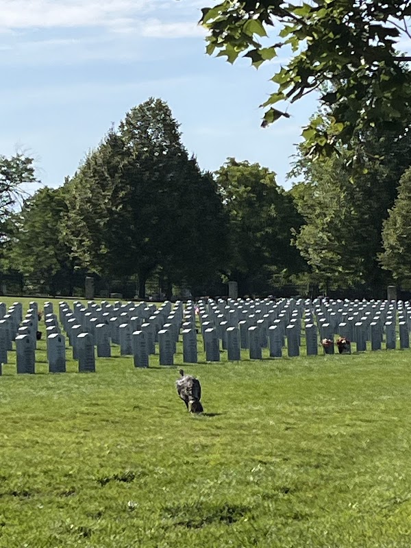 Idaho State Veterans Cemetery grounds