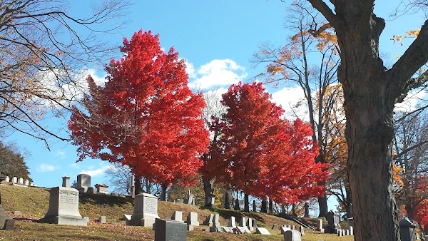 Indian Hill Cemetery grounds