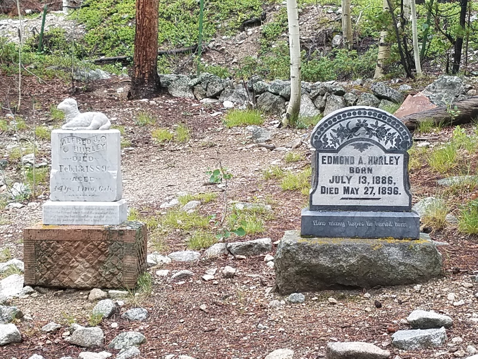 Iron City Cemetery cemetery grounds and headstones