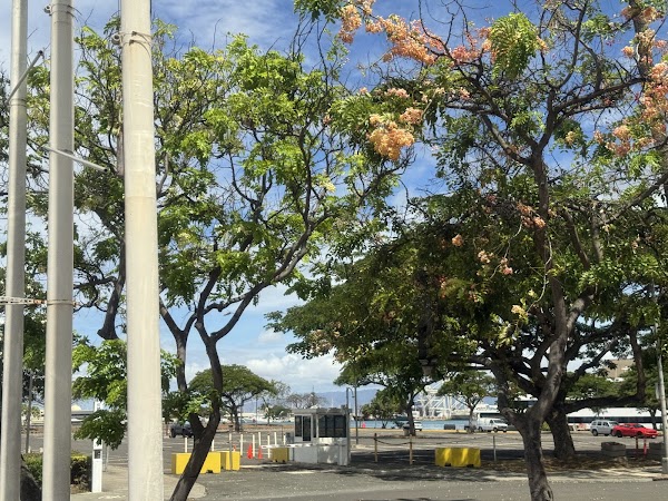Irwin Memorial Park grounds