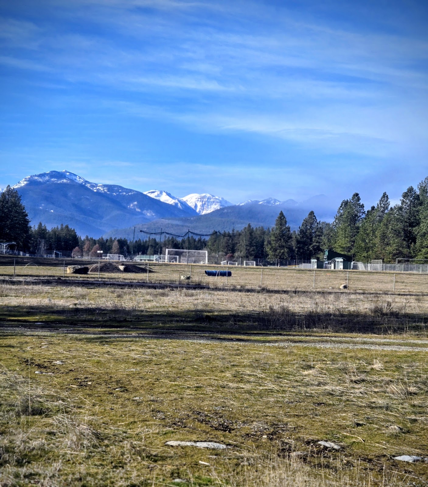 J. Neils Memorial Park cemetery grounds and headstones