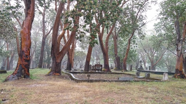 Jacksonville Cemetery grounds