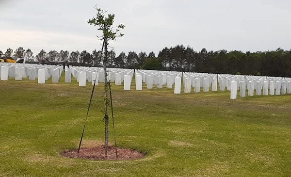 Jacksonville National Cemetery grounds