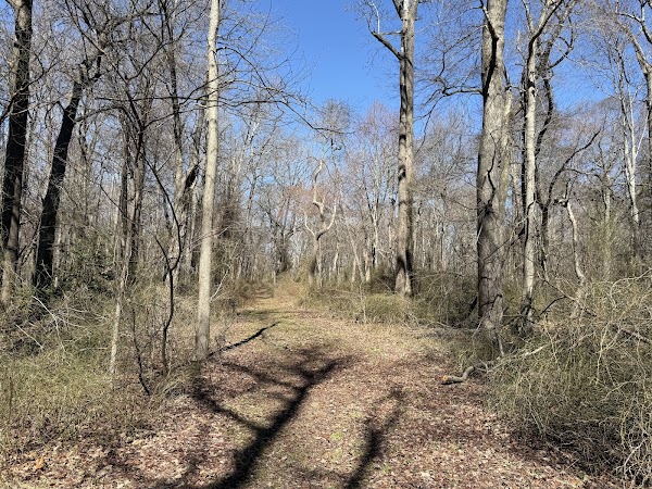 James Monroe Memorial Park grounds