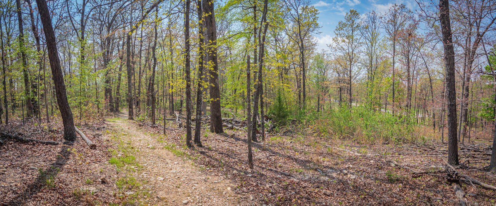 James Monroe Memorial Park cemetery grounds and headstones