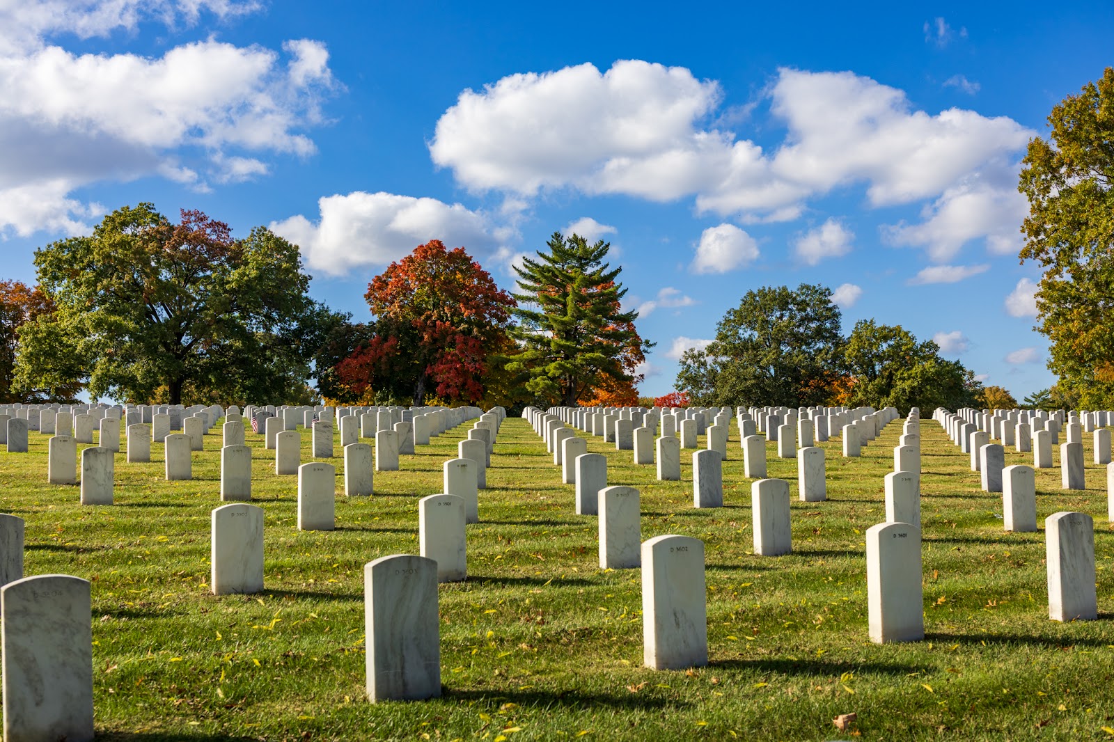 Jefferson Barracks National Cemetery cemetery grounds and headstones