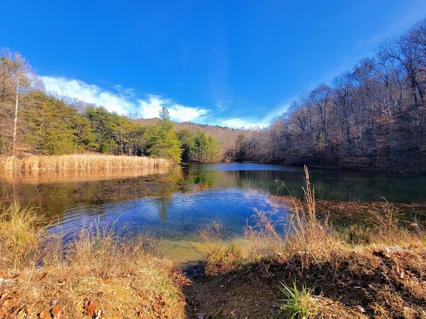 Jefferson Memorial Forest grounds