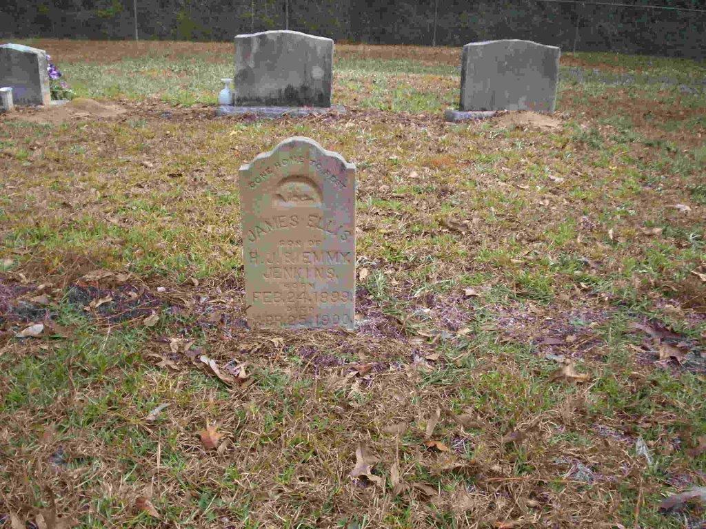 Jenkins Cemetery cemetery grounds and headstones