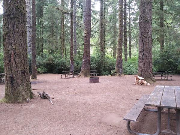 Jessie M. Honeyman Memorial State Park grounds