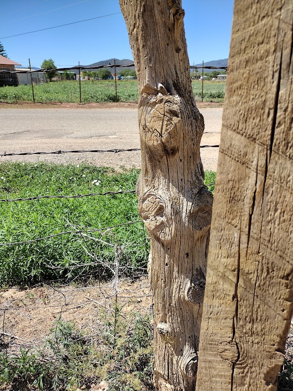 Jesus Nazareno Cemetery grounds