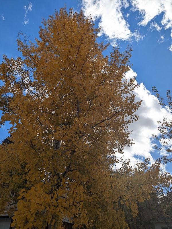 Jim Cullen Memorial Park grounds