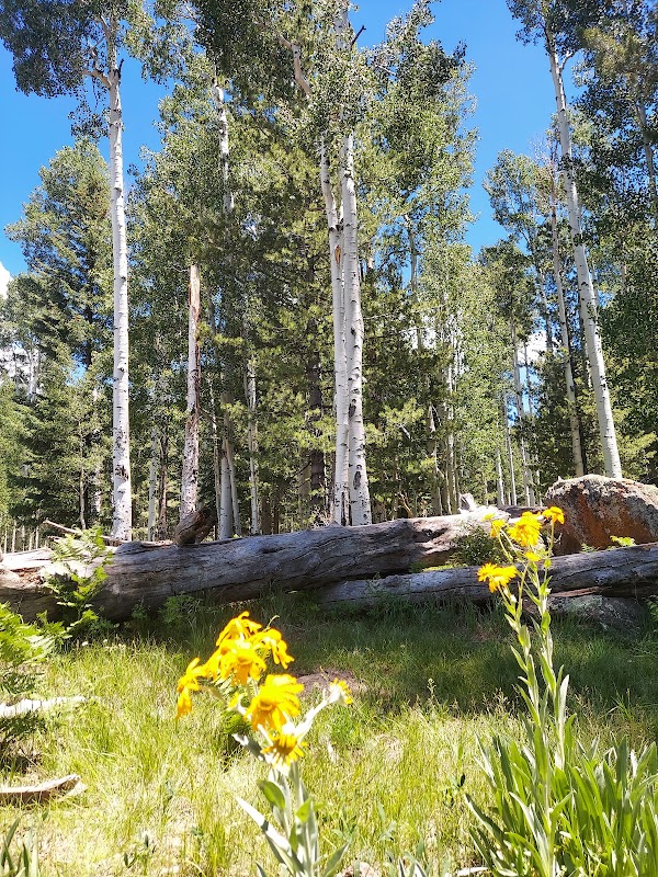 Jim Cullen Memorial Park grounds