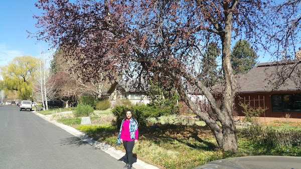 Jim Cullen Memorial Park grounds