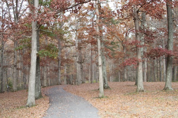 John B. Stephenson Memorial Forest State Nature Preserve grounds
