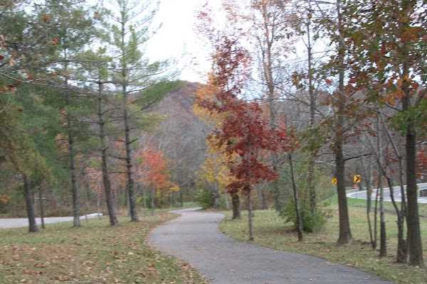 John B. Stephenson Memorial Forest State Nature Preserve grounds