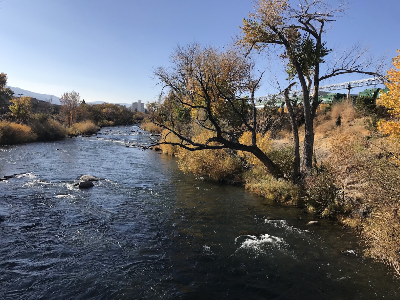 John Champion Memorial Park cemetery grounds and headstones
