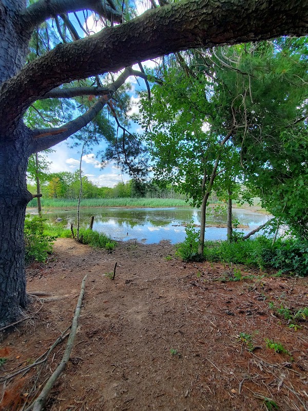 John F. Kennedy Memorial Park grounds