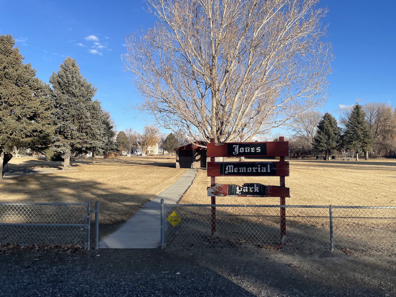 Jones Memorial Park cemetery grounds and headstones