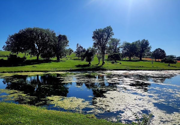 Jones Memorial Park grounds