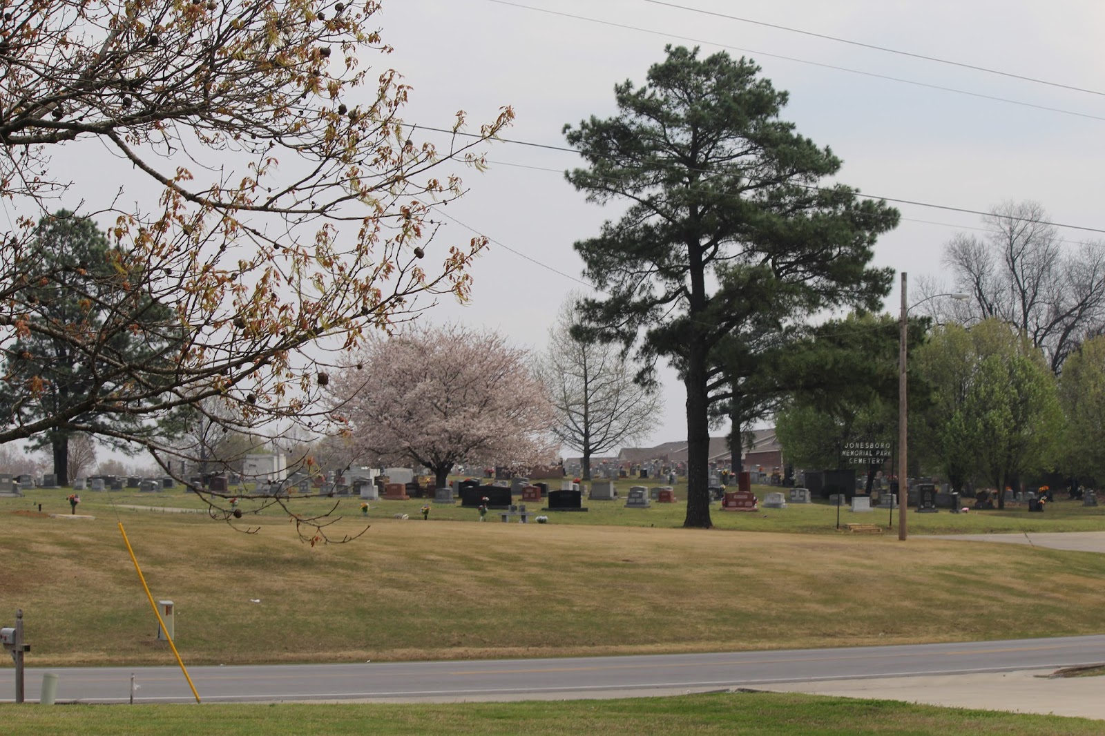 Jonesboro Memorial Park cemetery grounds and headstones