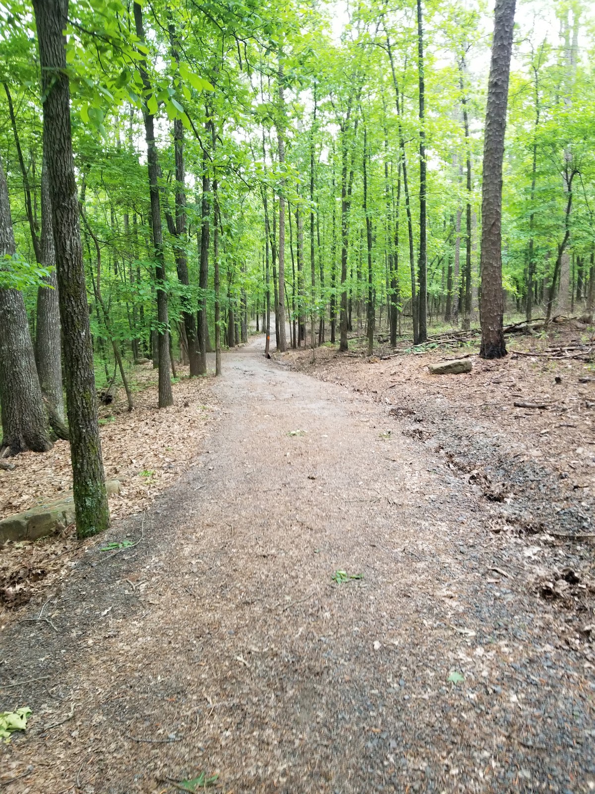 Josh Park Memorial Trail cemetery grounds and headstones