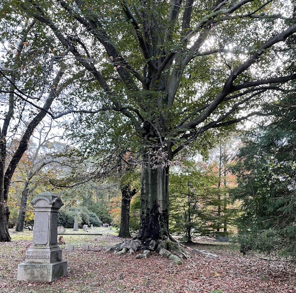 Juniper Hill Cemetery grounds