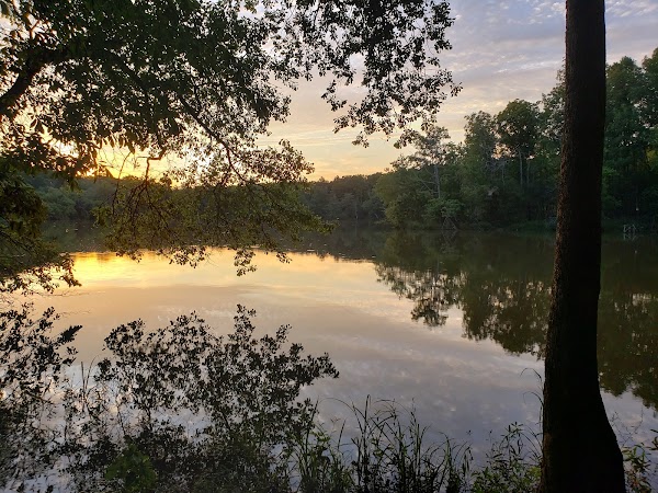 Karl H. Dixon Memorial Park At Boyd's Mill Pond grounds