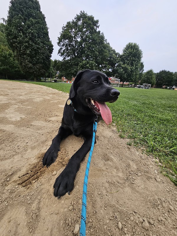 Kelly Memorial Park grounds