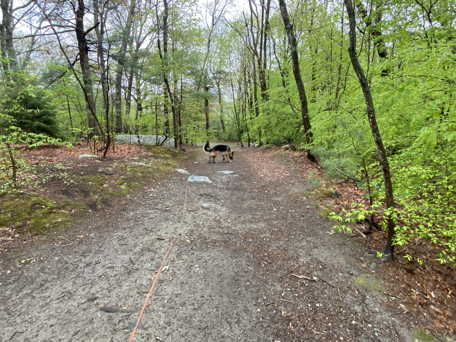 Kelly Memorial Park cemetery grounds and headstones