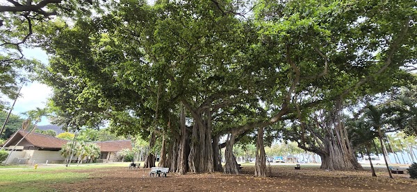 Kāhi Hāli'a Aloha Memorial grounds