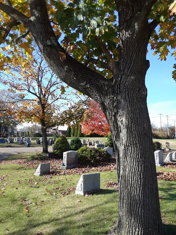 King's Highway Cemetery grounds