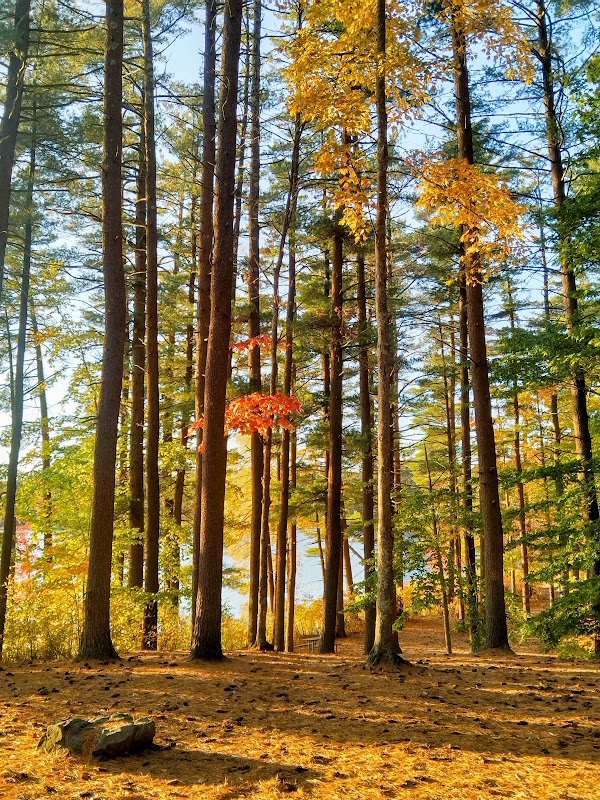Kingston State Park grounds