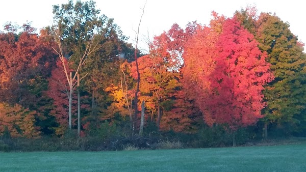 Kingwood Memorial Park grounds