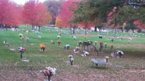 Kingwood Memorial Park grounds