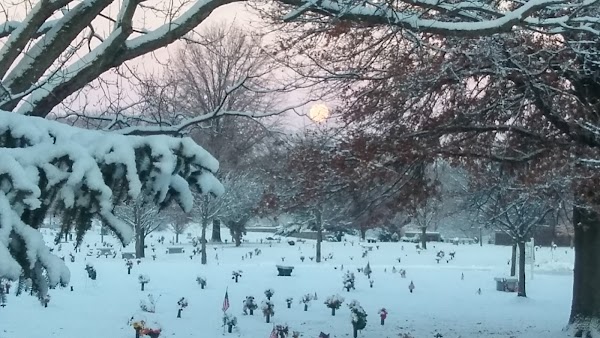 Kingwood Memorial Park grounds