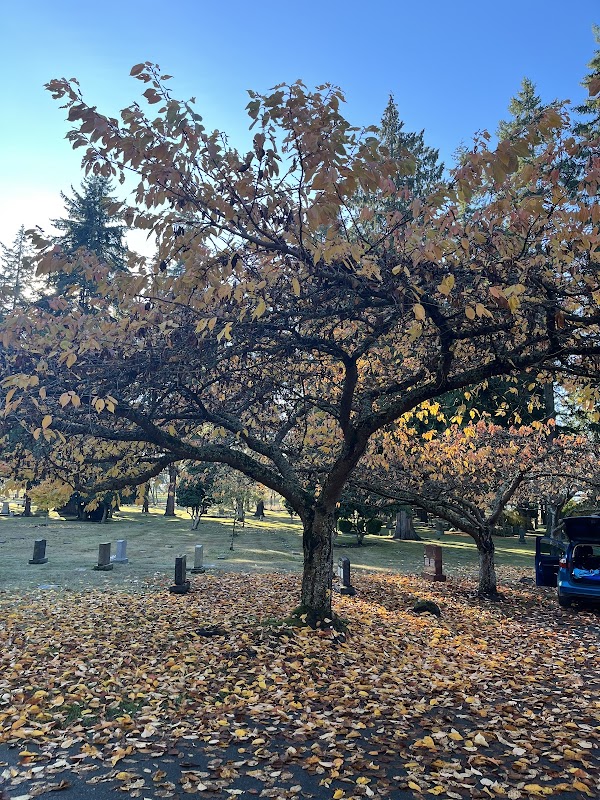 Kirkland Cemetery grounds
