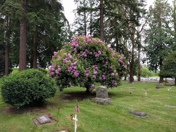 Kirkland Cemetery grounds