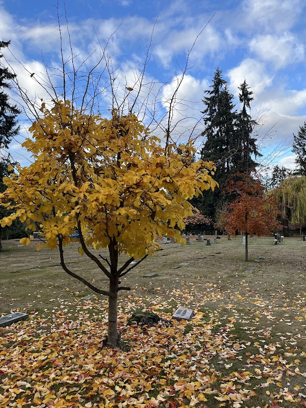 Kirkland Cemetery grounds