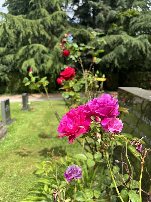 Kirkland Cemetery grounds